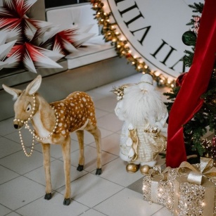 Сотворим сказку в Школе 1234