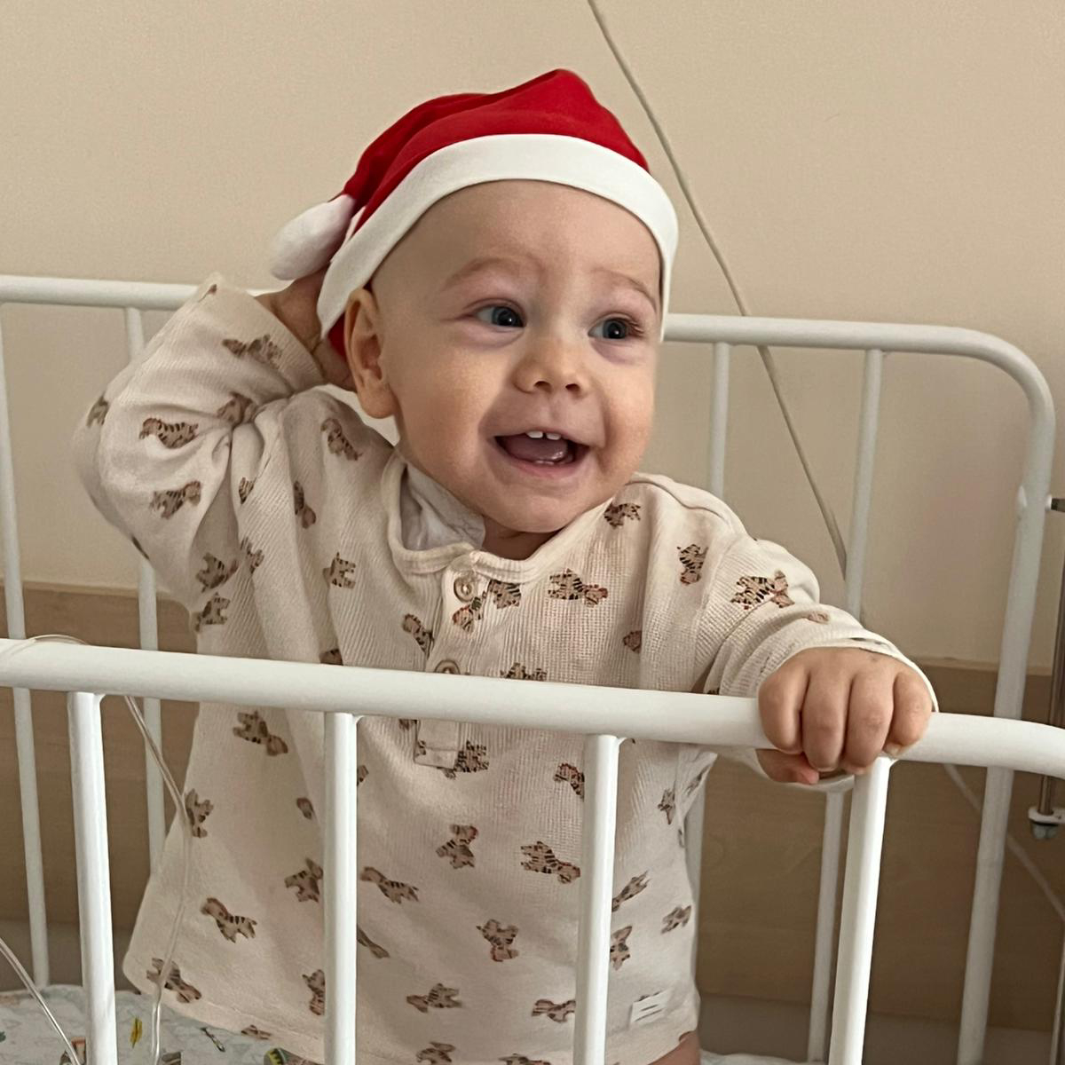 Арнаут Илья